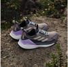 Треккинговые ботинки Adidas Terrex Free Hiker 2.0 Low GTX