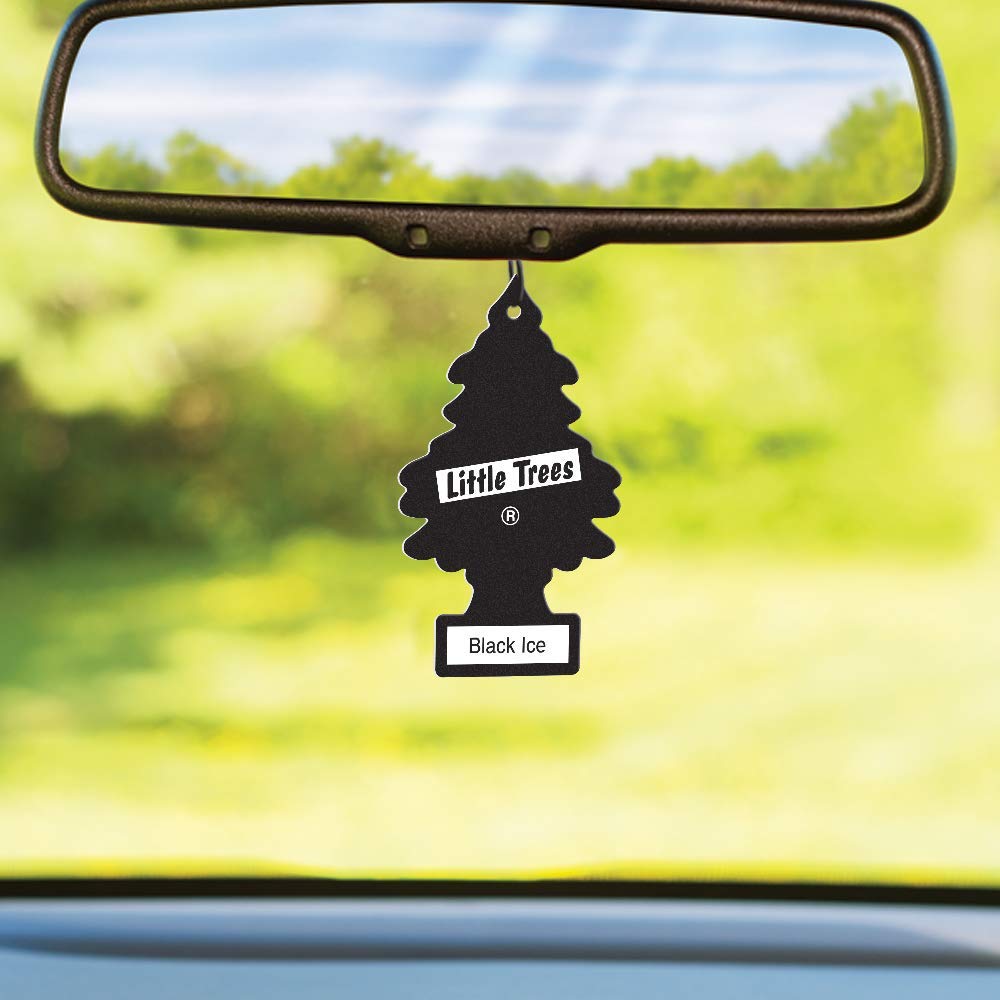 Kleiner Baum (Black Ice 6er-Pack) 6er-Set! LittleTree , Set mit 6 Black Ice