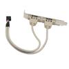 SinLoon Computer Cables Connectors New USB PC Motherboard Rear Panel Expansion Bracket To IDC Motherboard USB Cable Host Adapter [2-Piece Set] &