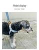 Dego Fashion Wasserdichtes Hundegeschirr & Leinen-Set für Kleine/Mittelgroße Hunde