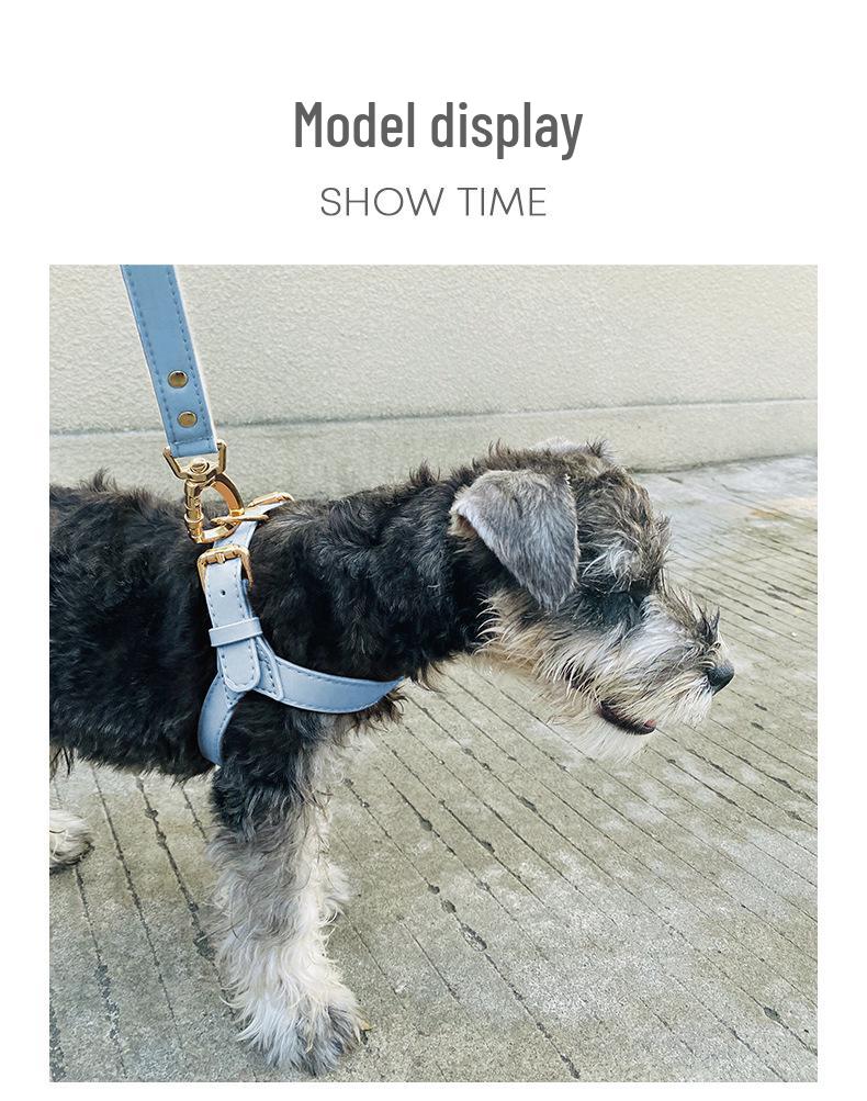 Dego Fashion Wasserdichtes Hundegeschirr & Leinen-Set für Kleine/Mittelgroße Hunde