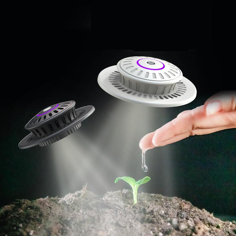 

D2 Миниатюрный Сад Стеклянный Растительный Террариум с Лампой для Выращивания Суккуленты Мох Ландшафт Стеклянный Террариум Сад Подарок для Любителей Растений M Diameter 125MM белый