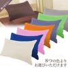 EIYU Pillow, 43x63cm, Low, Washable, NANO Platinum, Ivory, with Gray Pillowcase, Shipped Uncompressed