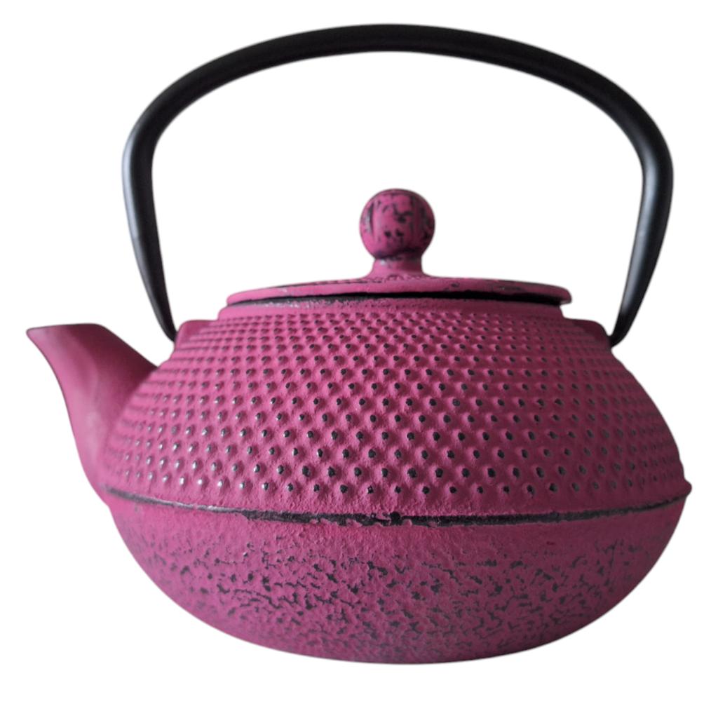 Cast Iron Kettle 0.8L + Steel Infuser Strainer For Tea And Herbs