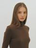 Hiloin Roll Neck Jersey Top (Brown)