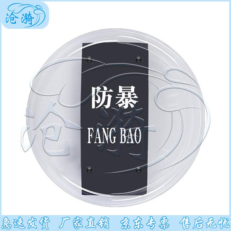 Hong Kong Style Riot Shield