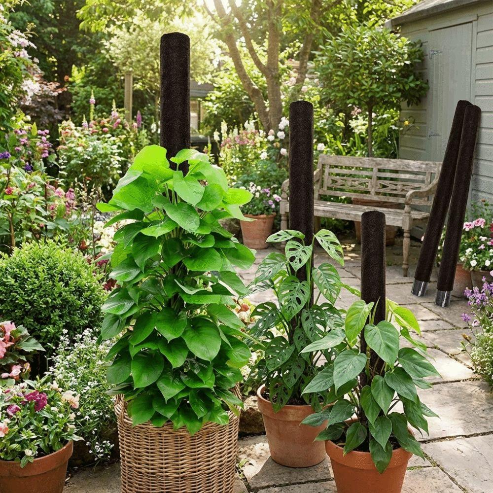 With Cover Plant Support Bracket Plastic Flower Pots Stand Climbing Plant Stand  Indoor Plant Use