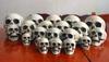 Mini Artificial Skull For Anatomical Scenes Perfect For Home Decor And Gifts