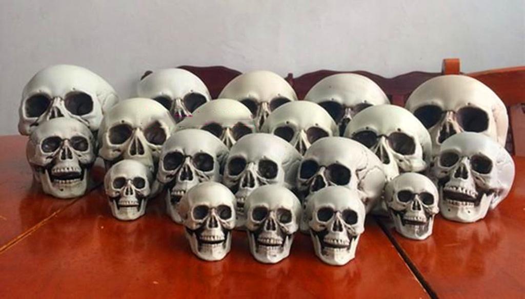 Mini Artificial Skull For Anatomical Scenes Perfect For Home Decor And Gifts