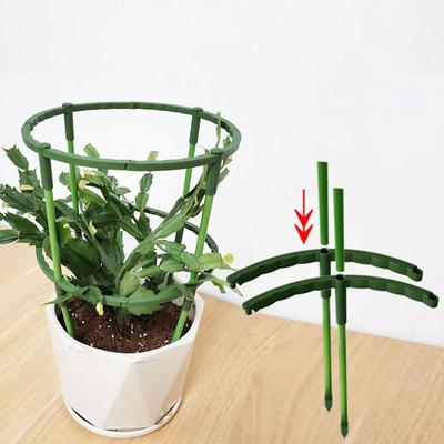 Plant Support Pile Stand Climb for Flowers Grow Semicircle Greenhouses Arrangement Fixing Rod Holder Orchard Garden Bonsai Tool