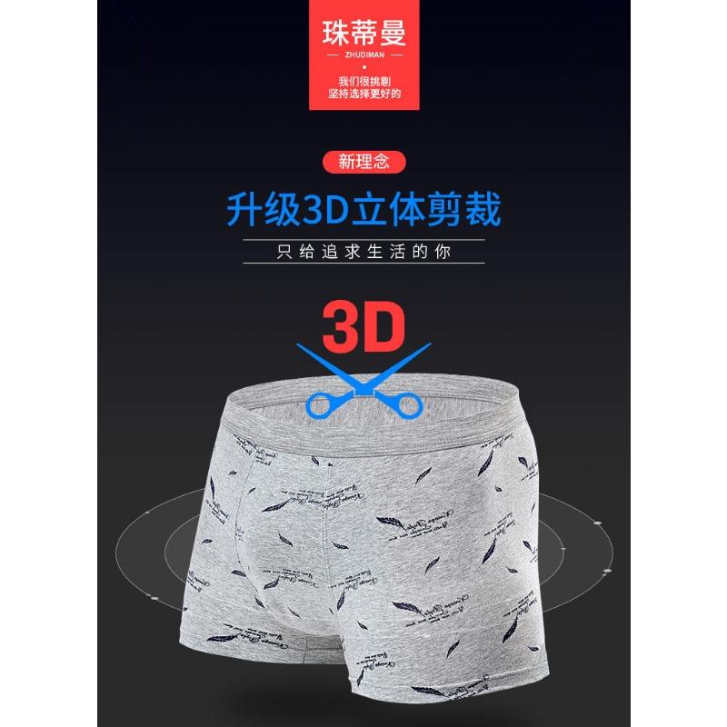 Printed Cotton Mens 3d Boxer Briefs