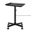 New Solid Color Hairdressing Handcart Beauty and Hairdressing Storage Tray Cross-border Home Hair Salon Storage Tool Cart
