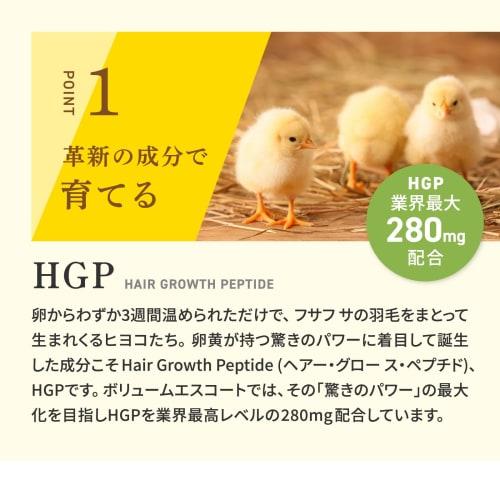 Aderans Volume Escort Supplement, Made In Japan, with Zinc, HGP, Saw Palmetto, Millet Seed, Keratin, and Pepper, for Hairline and Hair Volume, Concent