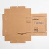 Huaji A4 File Storage Box