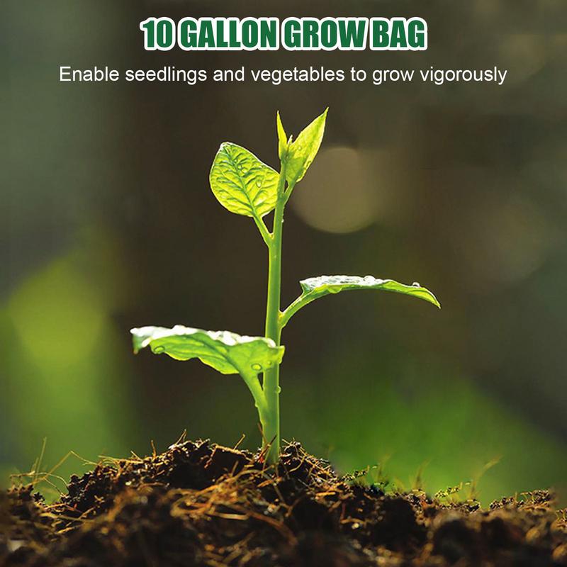 Plant Grow Bags Growing Bags For Vegetables 10X 10/15 Gallon Fabric Planter Pots With Aeration Reusable Container Gardening