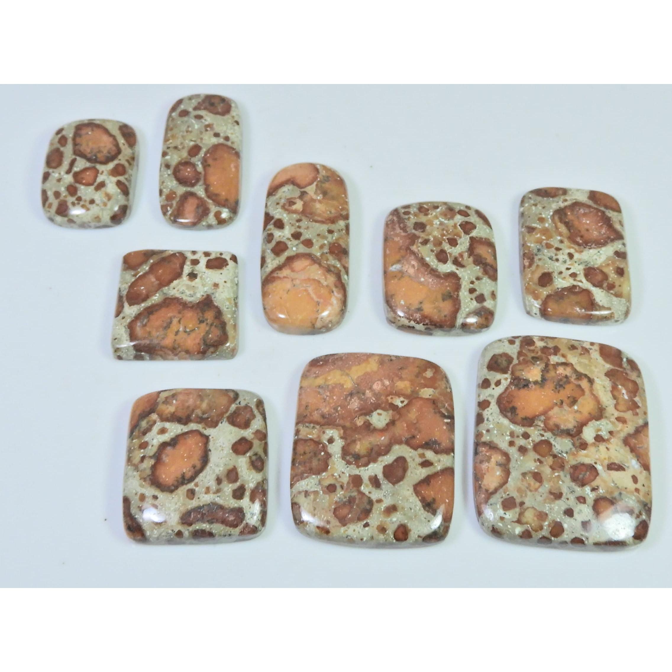 273Cts. Natural Asteroid Jasper Octagon Cabochon Loose Gemstone 09 Pcs Lot C-2453