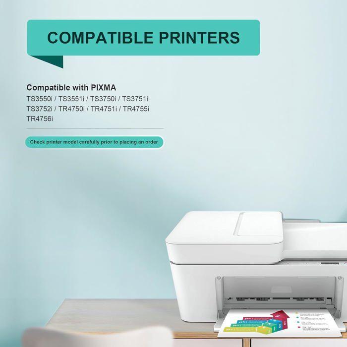 Cartouche Compatible - NEO LEGEND ARCADE CUSTOM - PG-575XL CL-576XL - Multi-couleurs - 2 pièces - Jet d'encre