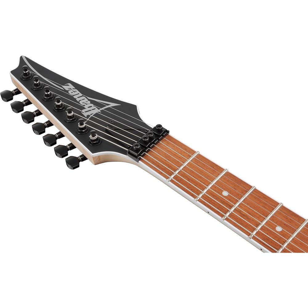 IBANEZ RG7420EX 7-String Electric Guitar Double Lock Tremolo Black Flat Finish