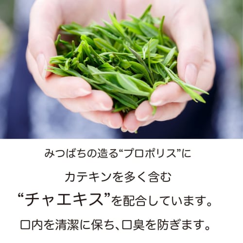 Propolis Mouthwash, Additive-Free, Made In Japan, 200ml (3-Pack)