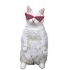 Pet Sunglasses Creative Decorative Portable Stylish Pet Glasses Dress Up Supplies