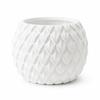 Modern Decorative White Flowerpot with a Scale Texture