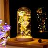 LED Enchanted Galaxy Rose Eternal 24K Gold Foil Flower With String Lights In Dome For Home Decor Christmas Valentine's Day Gift