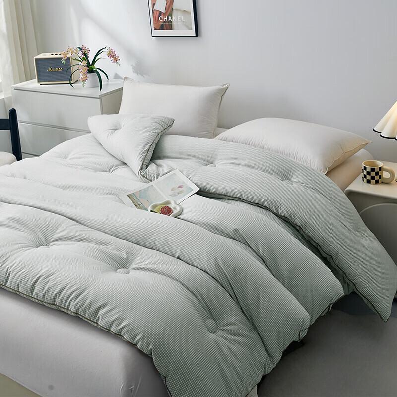 MINISO Luxurious Comfort All-Season Quilt