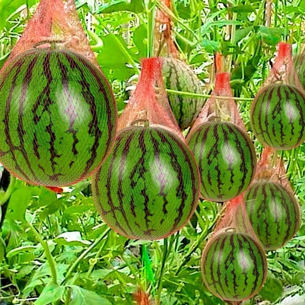 Reusable Watermelon Net with Straps Fruit Storage Net Bag New Garden Netting For Garden Planting