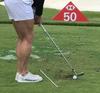 Tour AD Swing Practice Alignment Stick by Graphite Design (Pink)