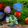 Premium Realistic Fake Aquarium Plants For Fish Tank Decor Safe Plastic Small Aquarium Decorations For Fresh Salt Water