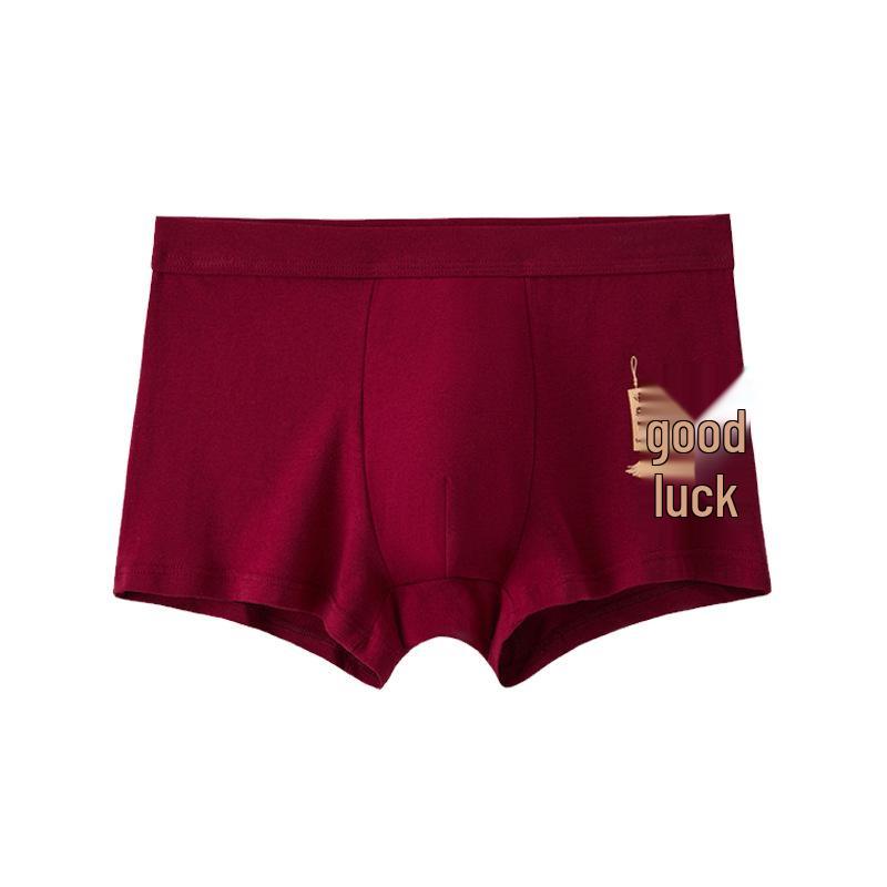 Men's Zodiac Year Wine Red Boxer Briefs - Year of the Horse Celebration Breathable Shorts