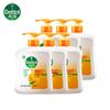 Antibacterial Citrus Hand Wash Multi-Pack