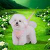 Comfortable Cat Dog Harness Breathable Dog Undershirt Chest Strap  Outdoor Walking
