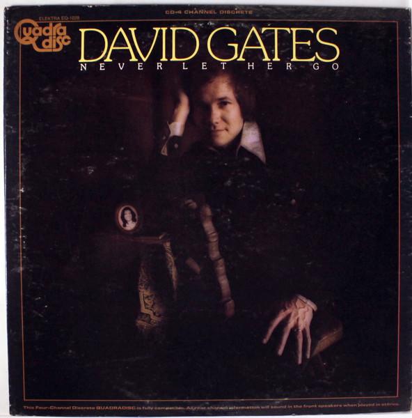 

LP Record DAVID GATES - Never Let Her Go EQ1028 Elektra 1975 US Rock Used