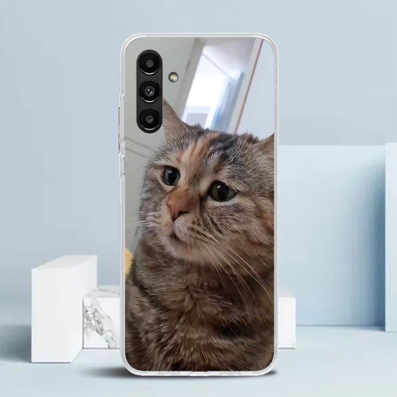 Pet Cat Funny Memes Cover for Samsung Galaxy A17 A37 A57 A16 A26 A36 A56 A15 A14 A55 Phone Case A13 A53 A25 A35 A24 A34 A23 A33