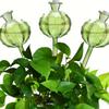 6 Cactus Shaped Automatic Watering Devices With Plastic Watering Balls