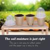 Degradable Paper Pulp Seedling Nursery Pots Eco Friendly Germination Planter Cups For Garden Flowers Herbs Orchard Plant Cultivation