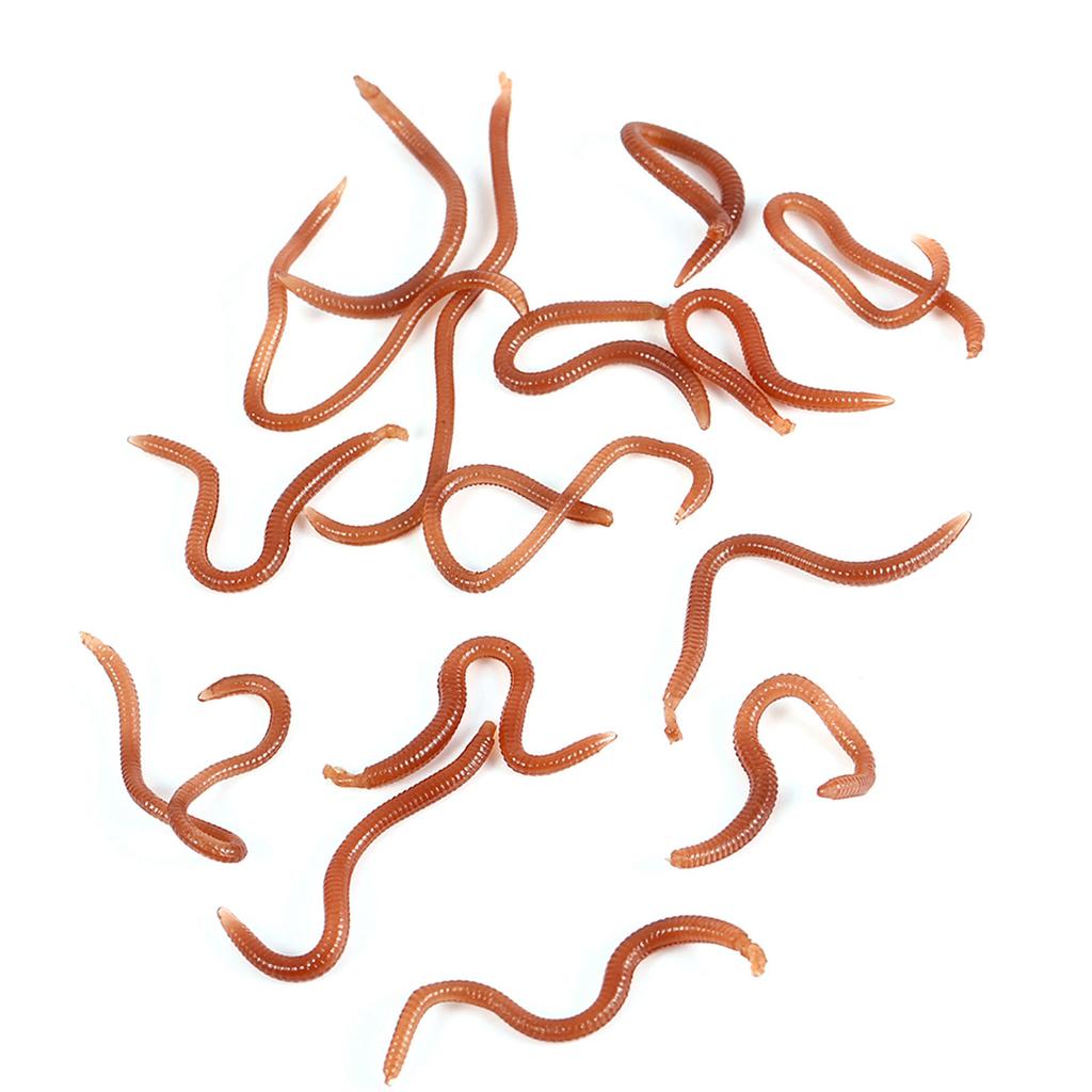 10cm Worm Shaped Fishy Smell Soft Fishing Lure Baits With Box For Fishermen