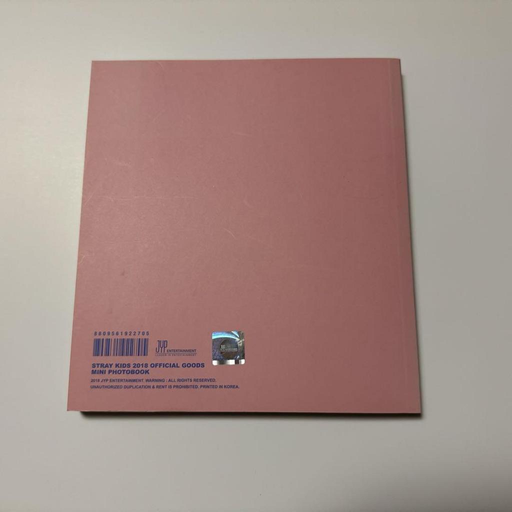 [USED] Stray Kids I AM YOU Photobook