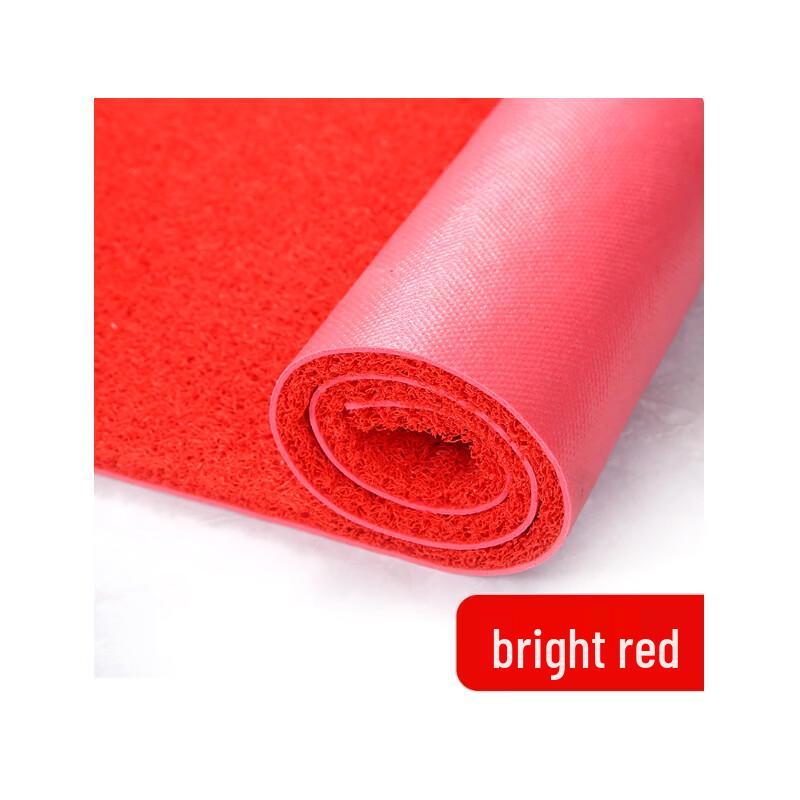 Naitesiya PVC Coil Non-Slip Floor Mat