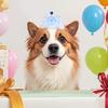 Haustier Geburtstagskrone Hundegeburtstag Verkleiden Fotografie Requisiten Zubehör Niedliche Haustierkrone Kopfschmuck Prinzessin Haustieroutfit Haustierbedarf