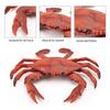 Simulation Animal Model Vivid Intelligence Development Solid Aquarium Miniature Crab Cognition Education Toy for Home