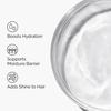 The Ordinary-100% Plant-Derived Squalane 190885-30ml/1oz