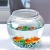 Imitation Glass Acrylic Decorative Tank Goldfish Tank Fall Climb Pet Tank Transparent Plastic Fish Tank Living Room