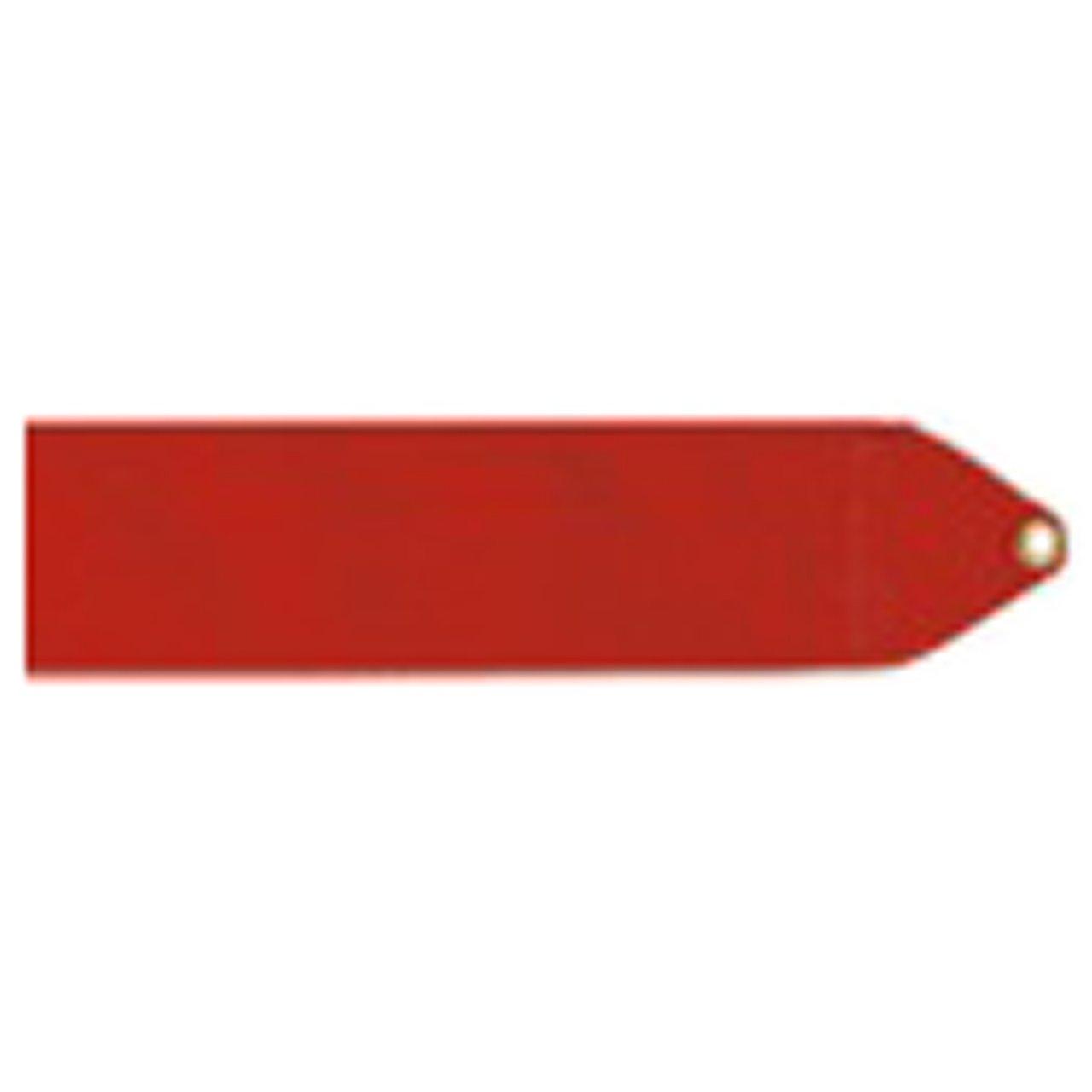 

SASAKI Rhythmic Gymnastics Equipment Set Red MJ760S Stick/Ribbon