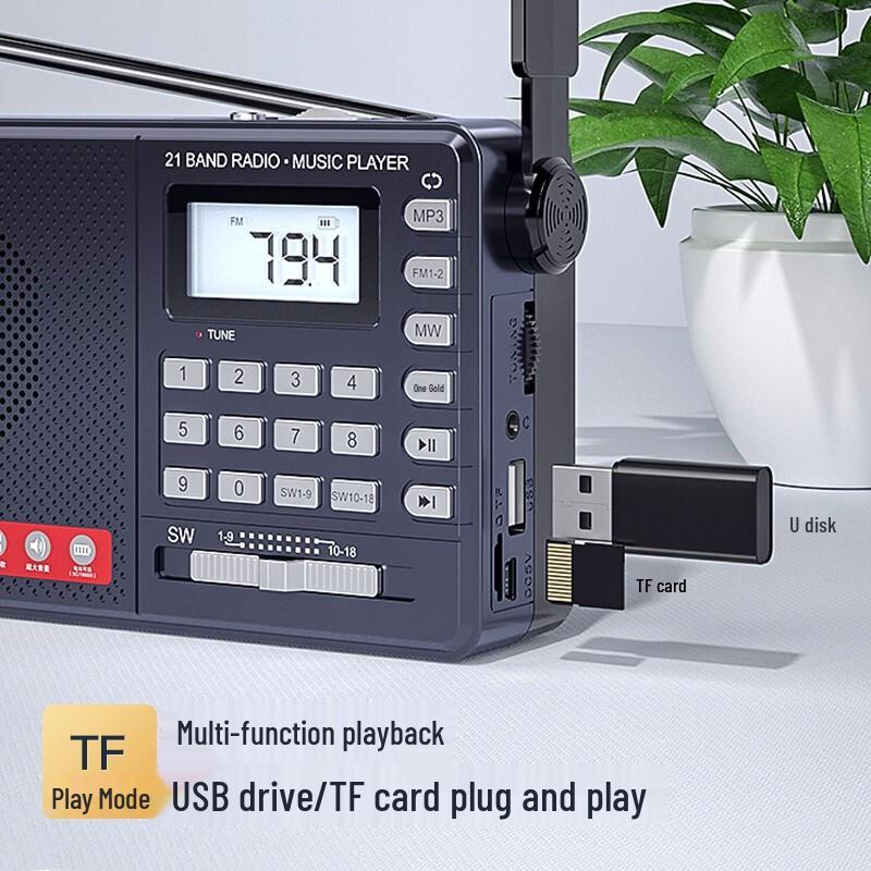Newmine MX30 Multi-band FM/AM/SW Portable Radio with LED Flashlight