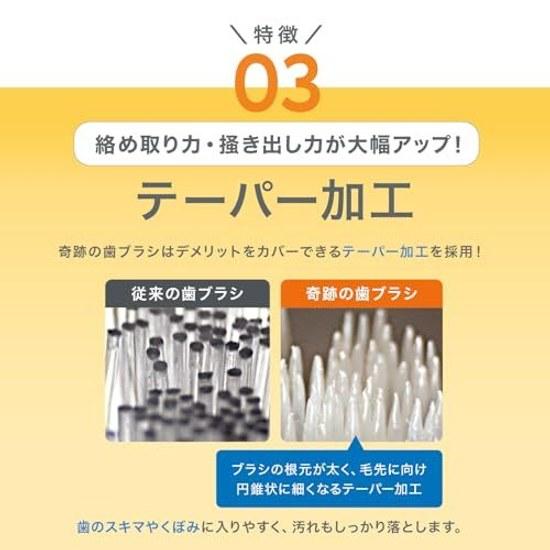 Miracle Toothbrush Regular Clear Black 3-Piece Set Adult UseGenuine ProductOfficial