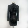Women's Luxury Mesh Round Neck Long Sleeve Bodycon Dress