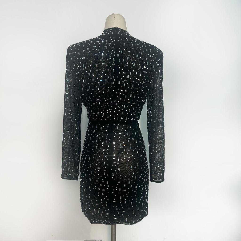 Women's Luxury Mesh Round Neck Long Sleeve Bodycon Dress