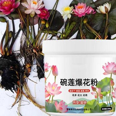 Aquatic Plant Fertilizer Water Lily Effective Plant Blossom Booster Water Lily Nutrient Powder Fertilizer To Promote Flowering